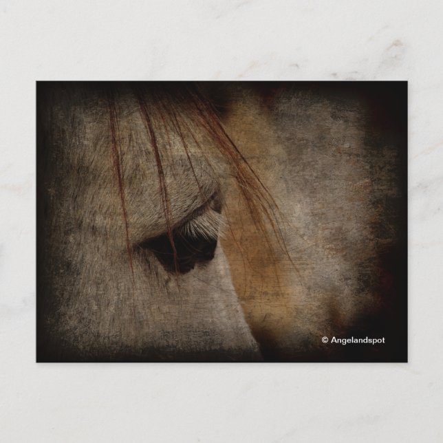 Grunge Postkarte (Vorderseite)