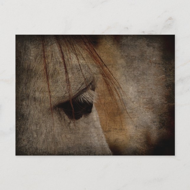 Grunge Postkarte (Vorderseite)