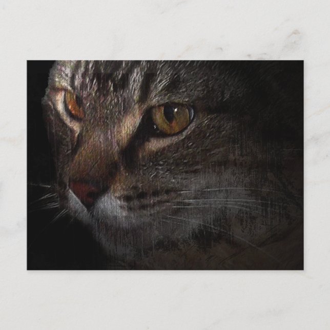 Grunge Tabby Cat Face in Shadow Postkarte (Vorderseite)