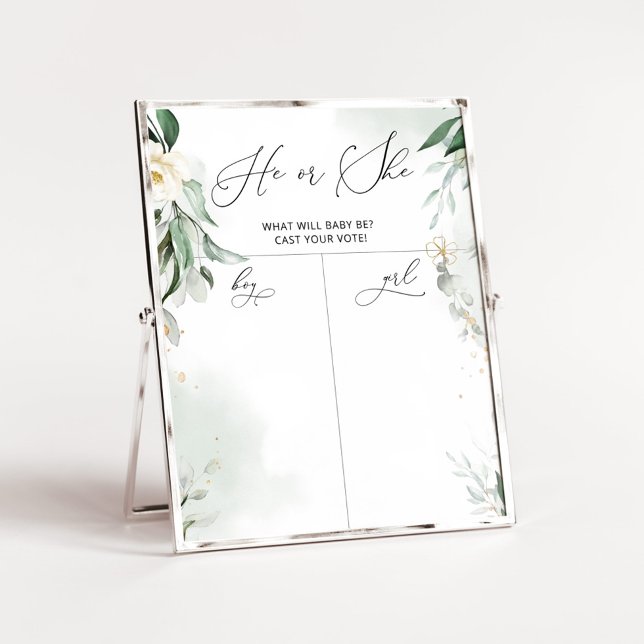 Grüngeschlecht enthüllt Kartographie von Jungen od Poster (Von Creator hochgeladen)