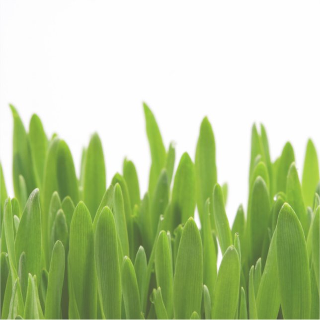 Grüngras Aufkleber (Vorderseite)