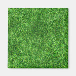 Grüngras Magnet