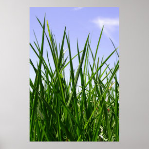 Grüngras mit Zuhause Poster