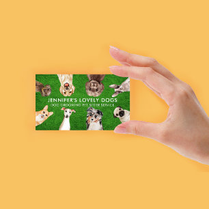 Grüngras Niedlich kleine Hunde Sitzgelegenheit Visitenkarte