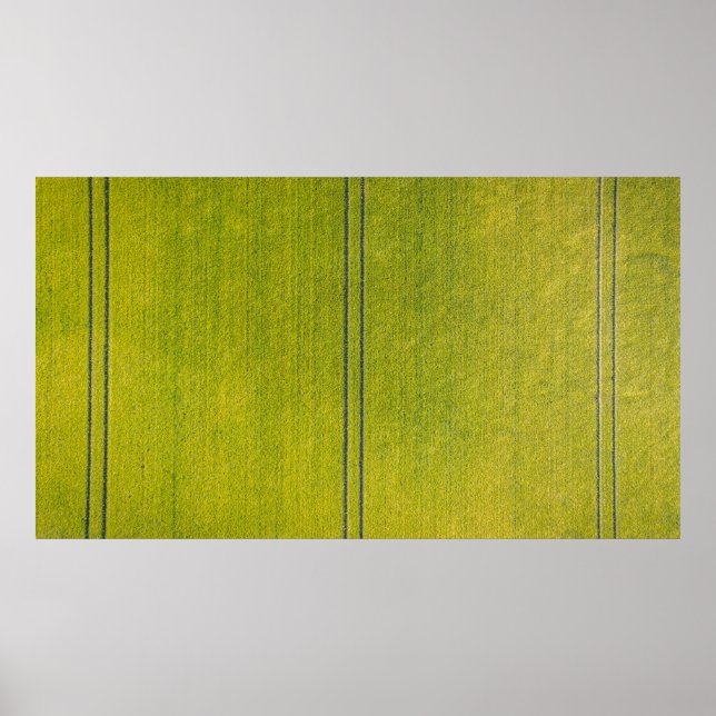 Grüngras Poster (Vorne)