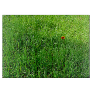 Grüngras Schneidebrett