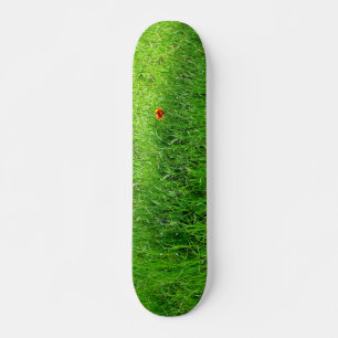 Grüngras Skateboard