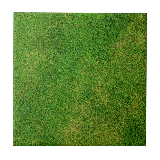 Grüngrasstruktur Fliese (Vorderseite)