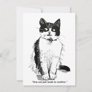 Grungy Cat - Eine Katze führt zur anderen Feiertagskarte