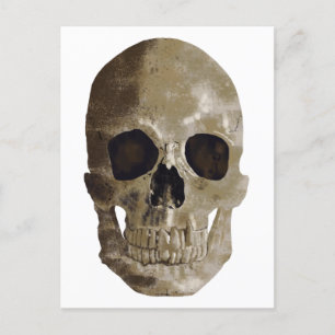 Grungy Skull Postkarte