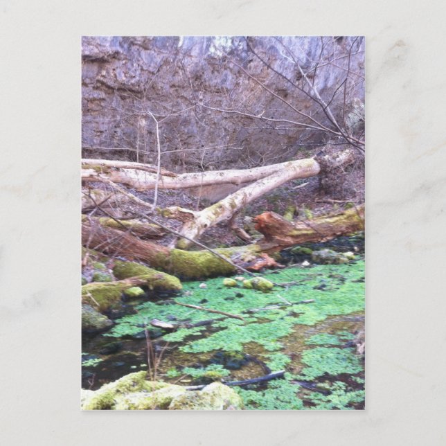 Grünhöhle Postkarte (Vorderseite)