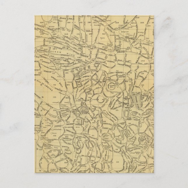 Grünholz-Friedhof Postkarte (Vorderseite)