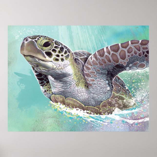 Grünmeerschildkröte Poster (Vorne)