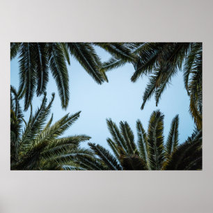 GRÜNPALMBAUM UNTER WEISSEM HIMMEL POSTER