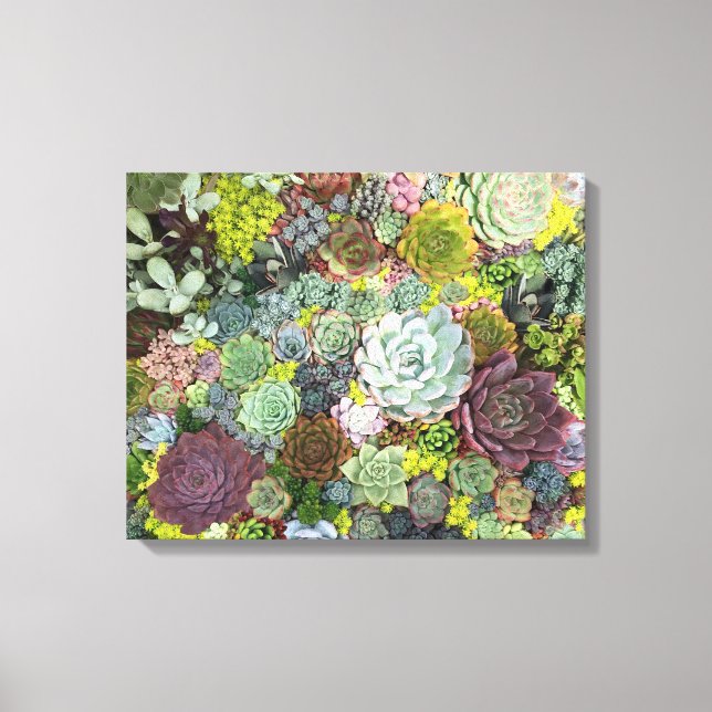 Grünpflanzen Succulents Leinwanddruck (Vorderseite)