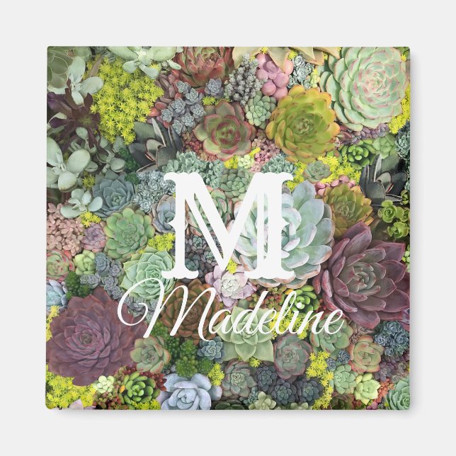 Grünpflanzen Succulents Magnet (Vorne)