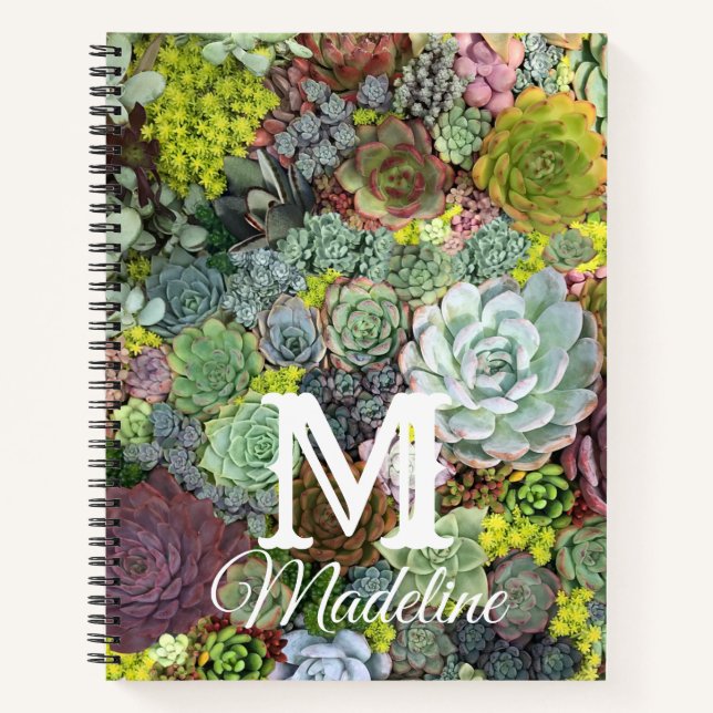 Grünpflanzen Succulents Notizbuch (Vorderseite)