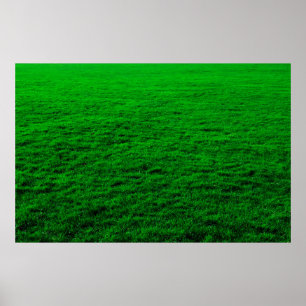 Grünrasen im Hintergrund Poster