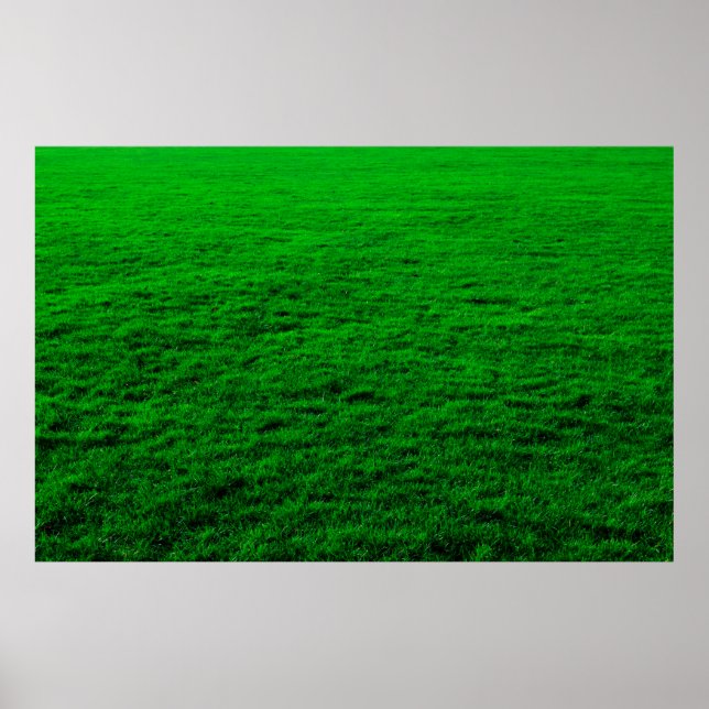 Grünrasen im Hintergrund Poster (Vorne)