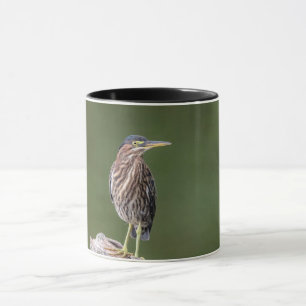 Grünreiher auf einem Klotz Tasse