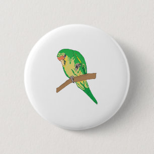 Grünsittich Button
