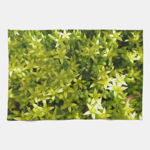 Grünstern wie Blume-Kräuterpflanzen-Pflanze Handtuch