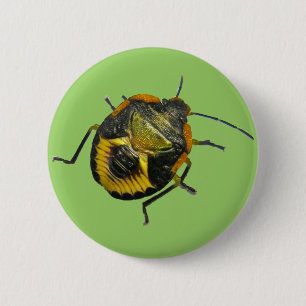 Grünstinkfehler Nymph-Koordinationselemente Button