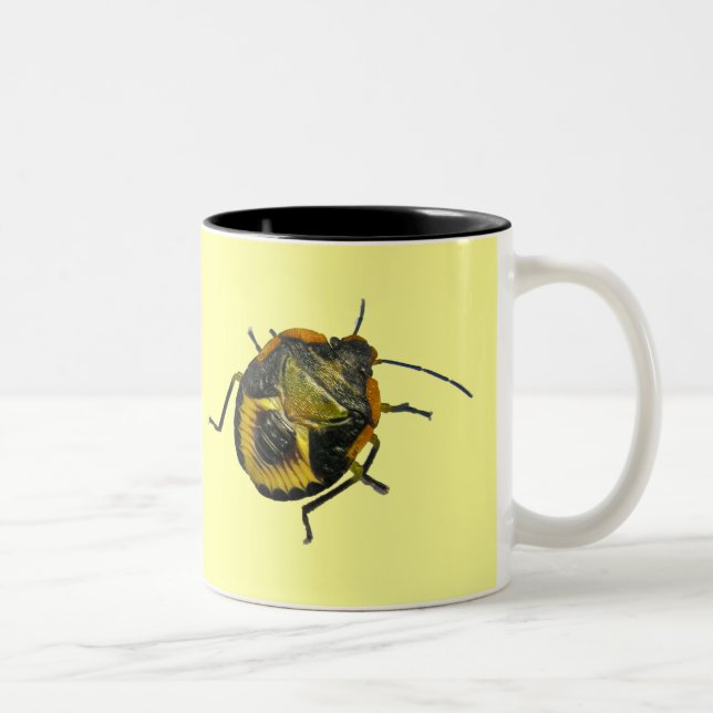Grünstinkfehler Nymph-Koordinationselemente Zweifarbige Tasse (Rechts)