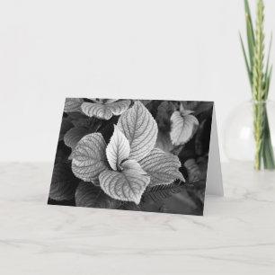 Grüntöne mit B/W-Karte Karte