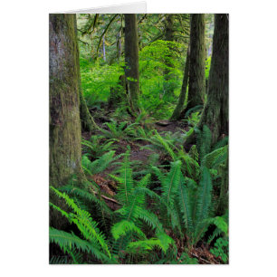 Grünwald Landschaftlich