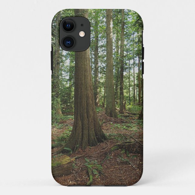 Grünwald Waldland Bäume Natur Foto Case-Mate iPhone Hülle (Rückseite)
