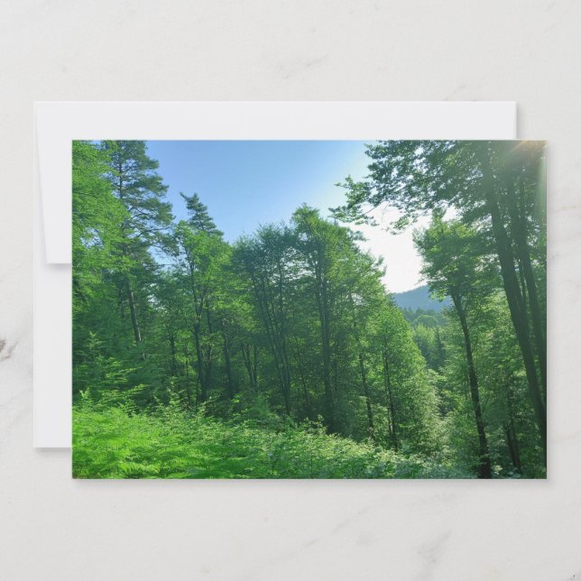 Grünwaldlandschaftsfotografie Einladung (Vorderseite)