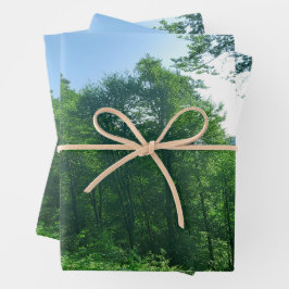 Grünwaldlandschaftsfotografie Geschenkpapier Set