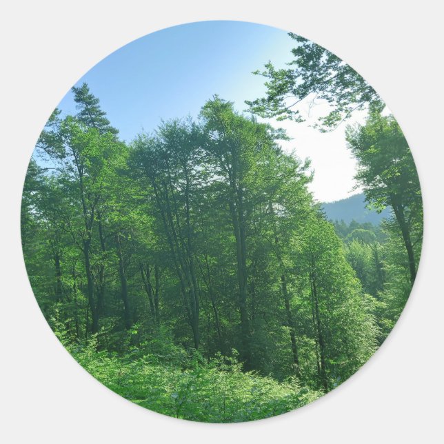 Grünwaldlandschaftsfotografie Runder Aufkleber (Vorderseite)