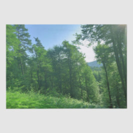 Grünwaldlandschaftsfotografie Seidenpapier