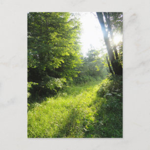 Grünwaldwiese Postkarte