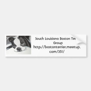 Gruppe Bostons Terrier Meetup Autoaufkleber