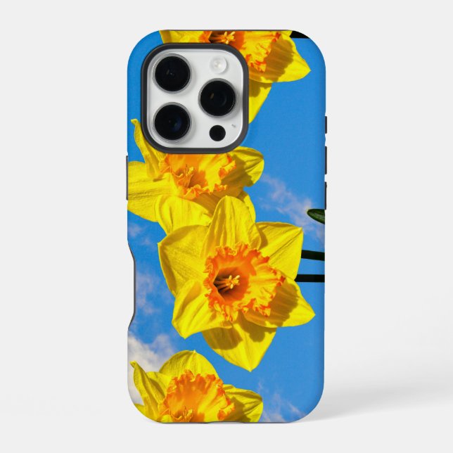 Gruppe der Daffodils Gold Medal Blume Handy Fall iPhone 16 Pro Hülle (Rückseite)