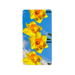 Gruppe der Daffodils Goldmedaille-Blume Adressaufkleber
