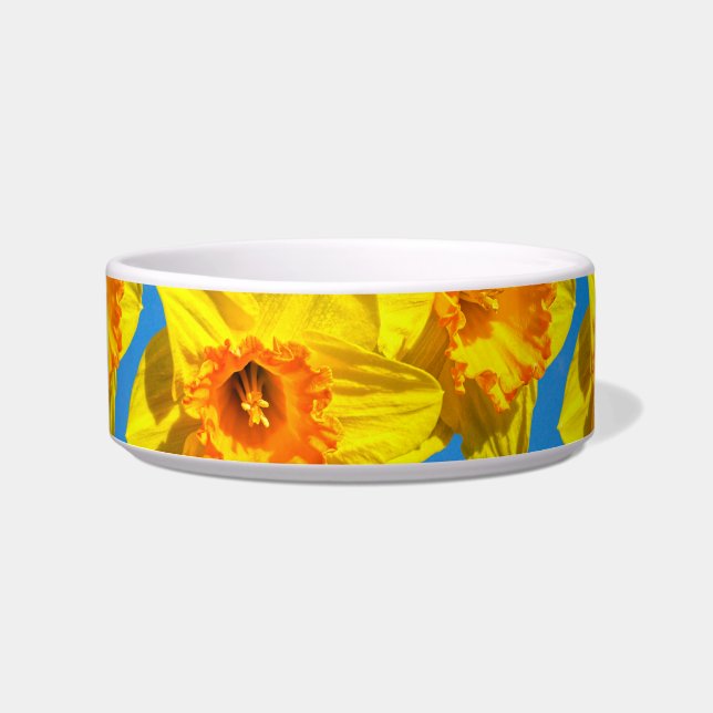 Gruppe der Daffodils Goldmedaille-Blume Napf (Vorderseite)