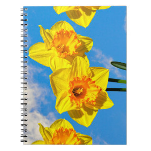 Gruppe der Daffodils Goldmedaille-Blume Notizblock