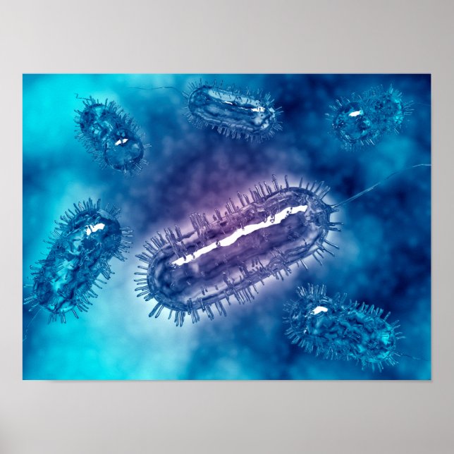 Gruppe der Escherichia coli Bacteria cells 1 Poster (Vorne)