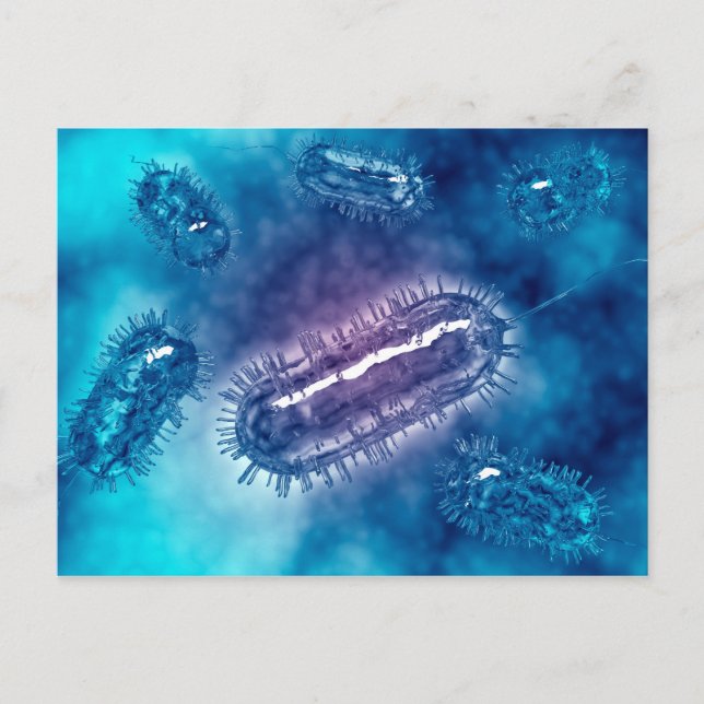 Gruppe der Escherichia coli Bacteria cells 1 Postkarte (Vorderseite)