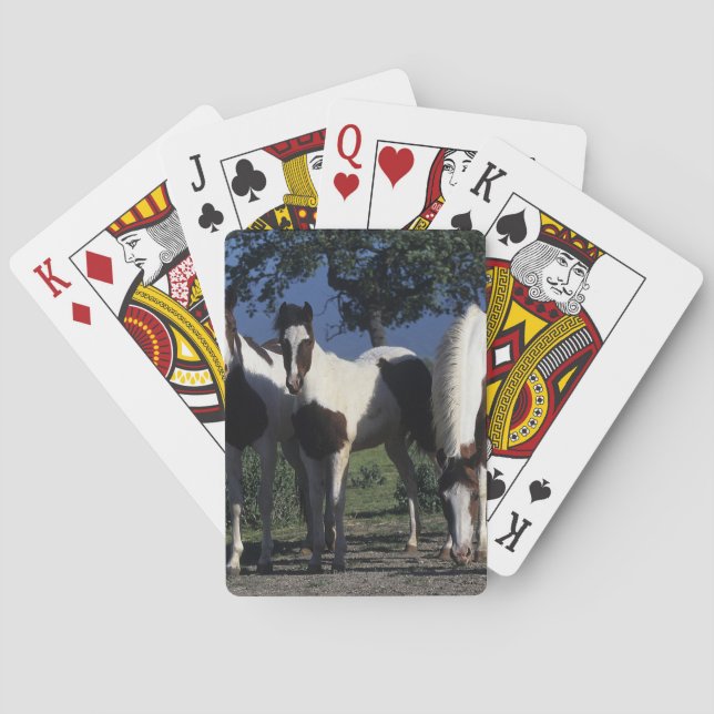 Gruppe der Paint Horses Spielkarten (Rückseite)