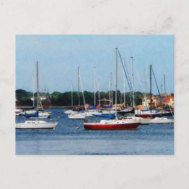Gruppe der Sailboats Newport RI Postkarte (Vorderseite)