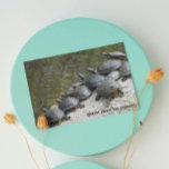 Gruppe der Schildkröten Foto Funny Geburtstag Karte<br><div class="desc">Eine lustige Geburtstagskarte für alle,  die ein Foto von Schildkröten zeigt,  die auf einem Felsen in einem Teich sonnen. Wählen Sie aus einer matten oder glänzenden Stilkarte.</div>