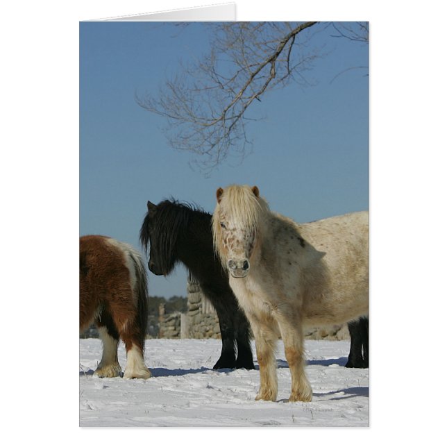 Gruppe der Schneepferde (Vorne)