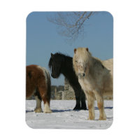 Gruppe der Schneepferde