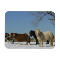 Gruppe der Schneepferde
