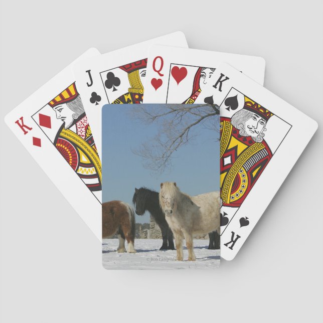 Gruppe der Schneepferde Spielkarten (Rückseite)